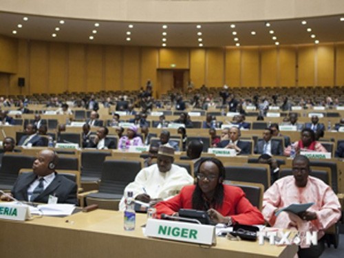 AU urged to get out of donor dependency syndrome - ảnh 1